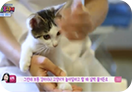 로봇을 통해 꿈꾸는 교육의 미래
